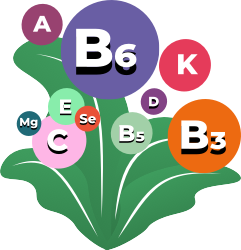 The periodic table of elements.